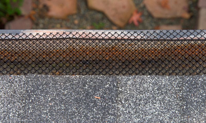 Gutter Guard Replacement in Sacramento, CA