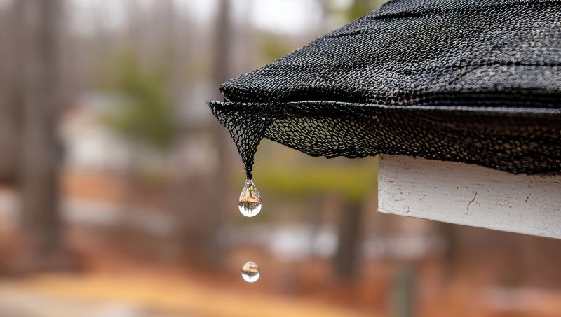Gutter Mesh Installation in Redmond, WA