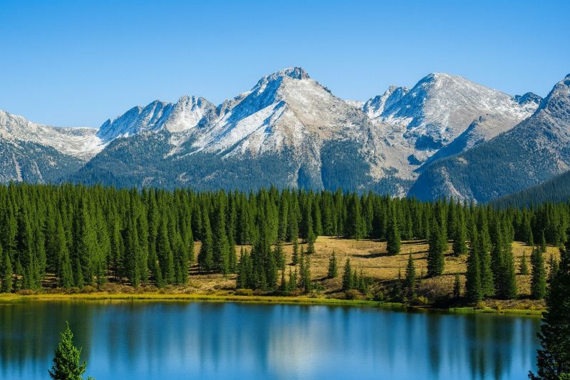 Local Gutter Filter Installation in Lafayette, CO