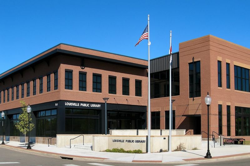 Local Rain Gutter Cover Installation in Louisville, CO